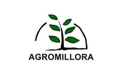 Agromillora Fidan
